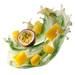 Matcha Mango-Passionfruit (Bundle-Rabatt)